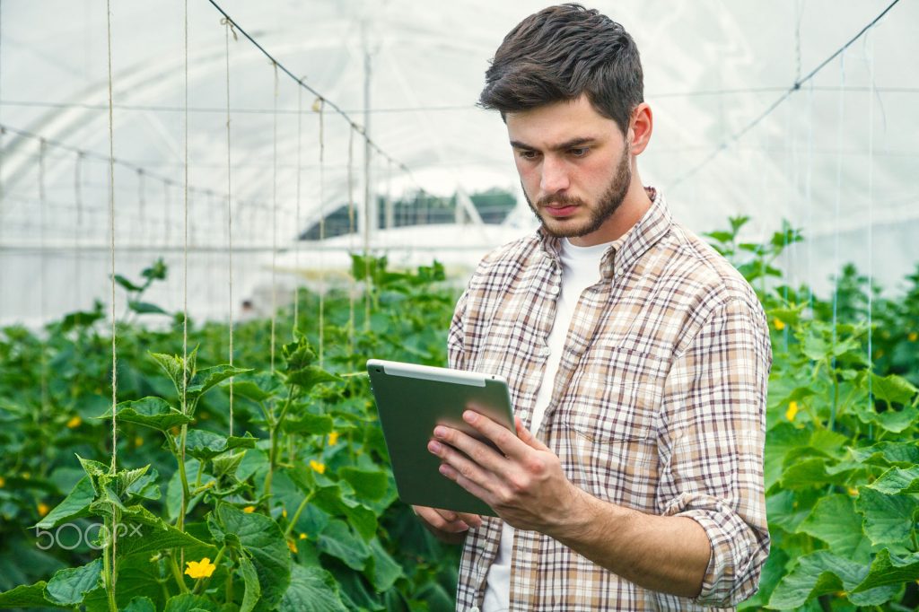 Young man working in a greenhouse recording measurements