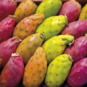 Fichi d'India - Acquista frutta di stagione su MYFRUITBOX