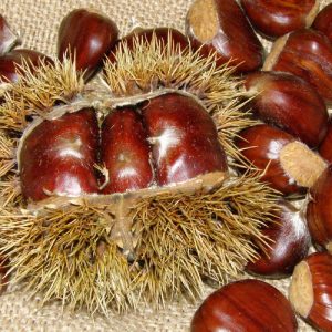 Castagne - Acquista frutta e verdura online | Consegna a Milano