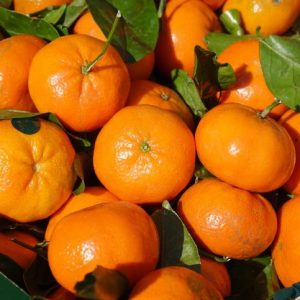 Clementine - Acquista frutta e verdura online su MYFRUITBOX