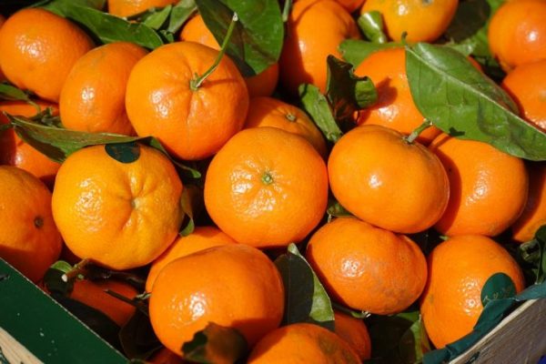 Clementine - Acquista frutta e verdura online su MYFRUITBOX